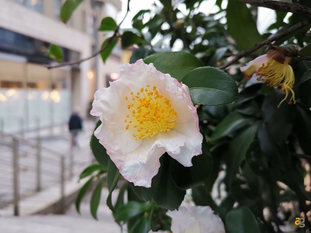 confrontone-fotografico-fine-2018