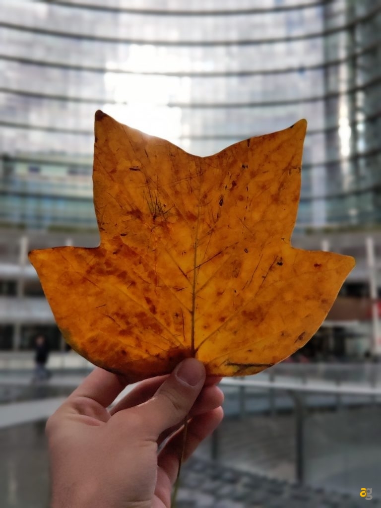 confrontone-fotografico-fine-2018