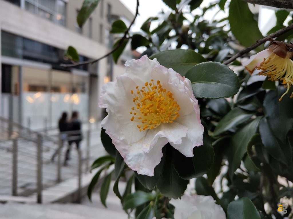 confrontone-fotografico-fine-2018