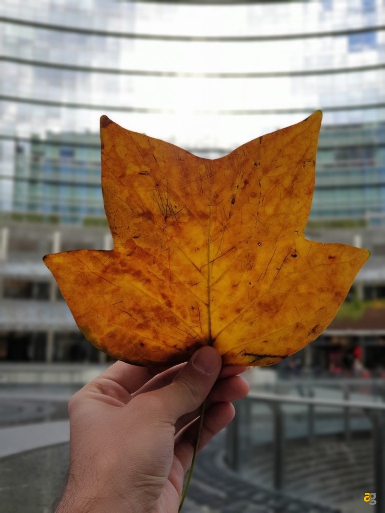 confrontone-fotografico-fine-2018