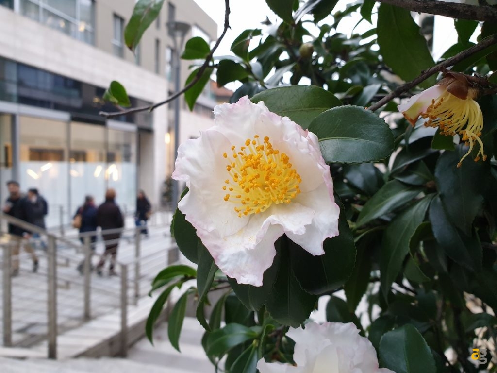 confrontone-fotografico-fine-2018