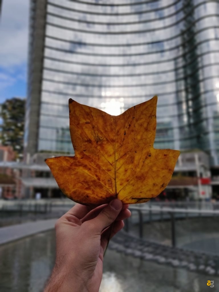 confrontone-fotografico-fine-2018