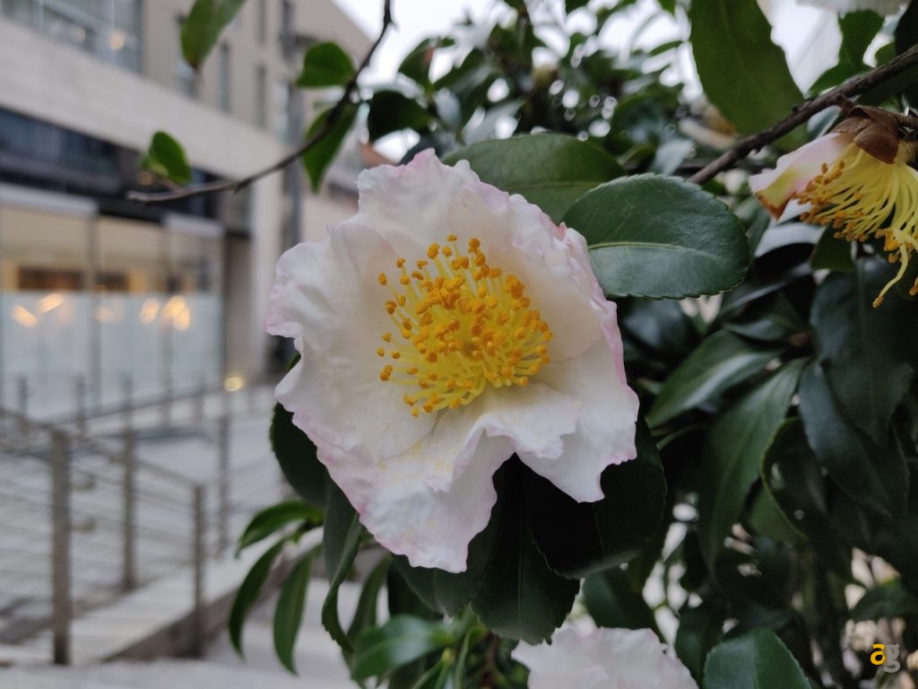 confrontone-fotografico-fine-2018