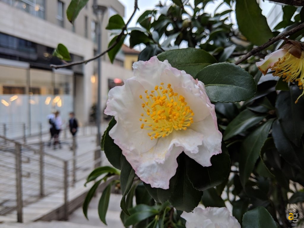 confrontone-fotografico-fine-2018