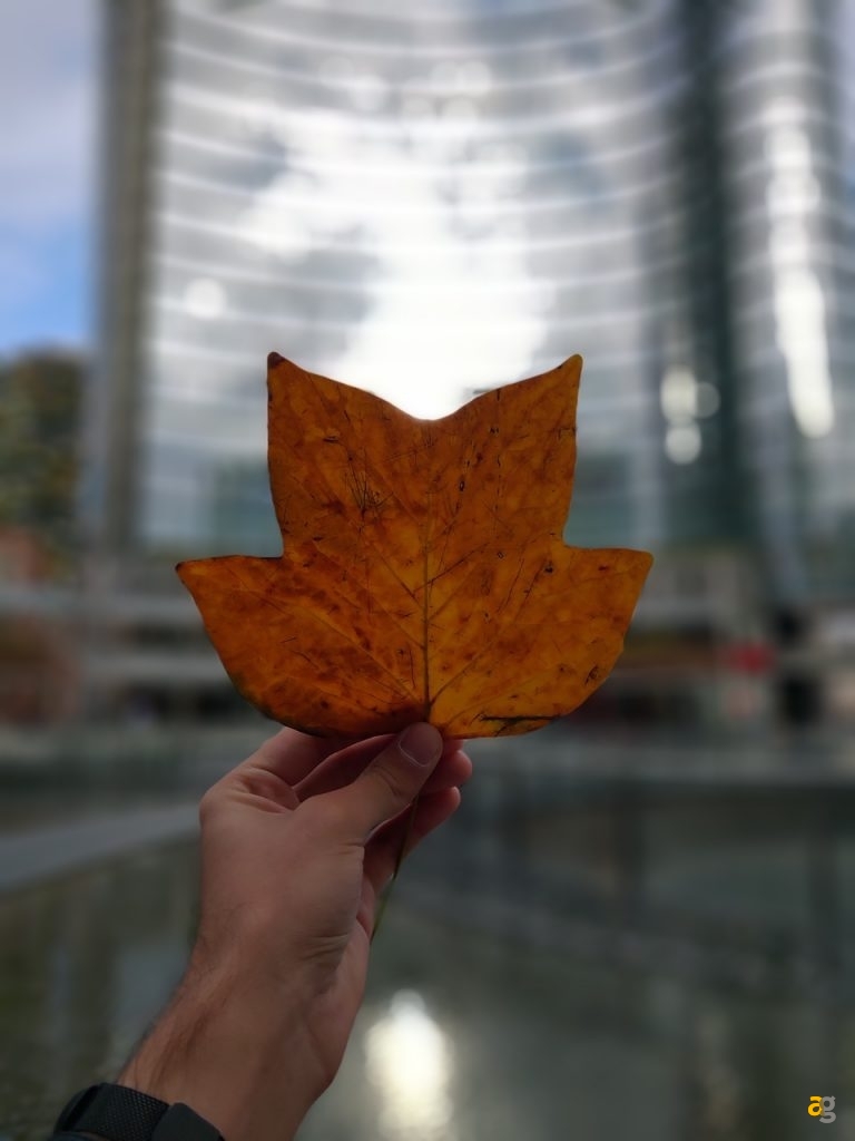 confrontone-fotografico-fine-2018