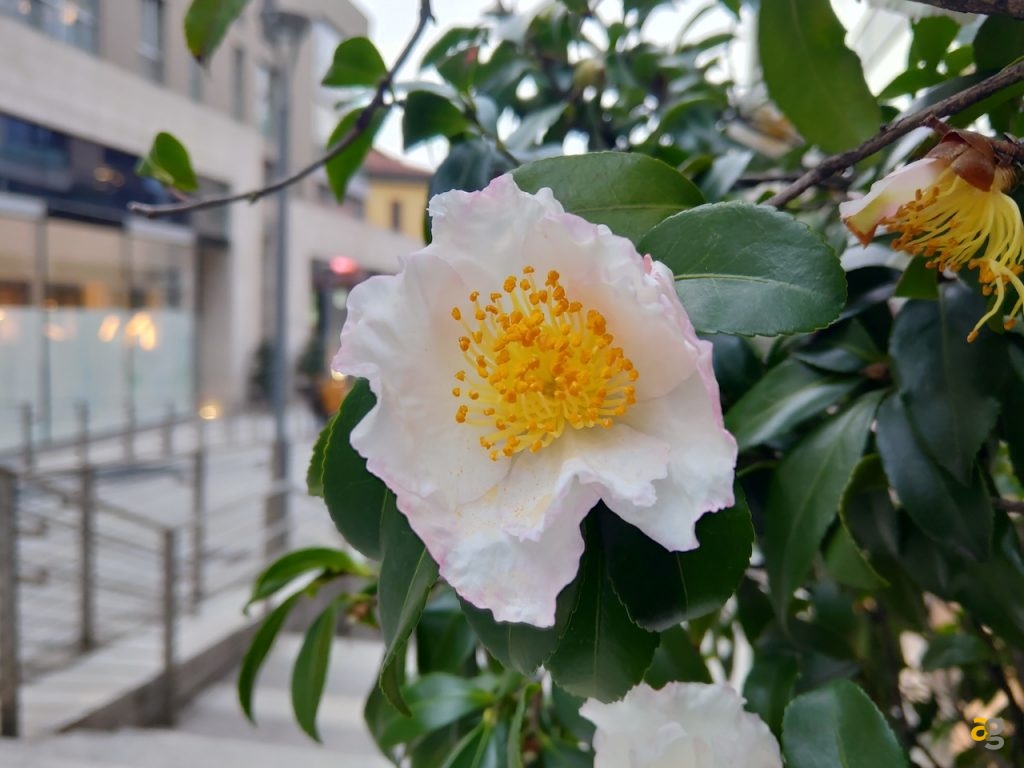 confrontone-fotografico-fine-2018