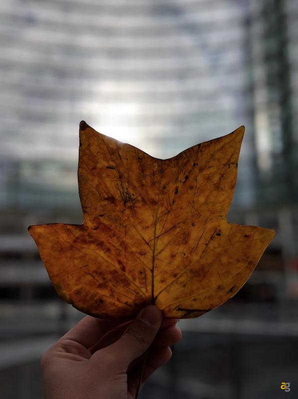 confrontone-fotografico-fine-2018