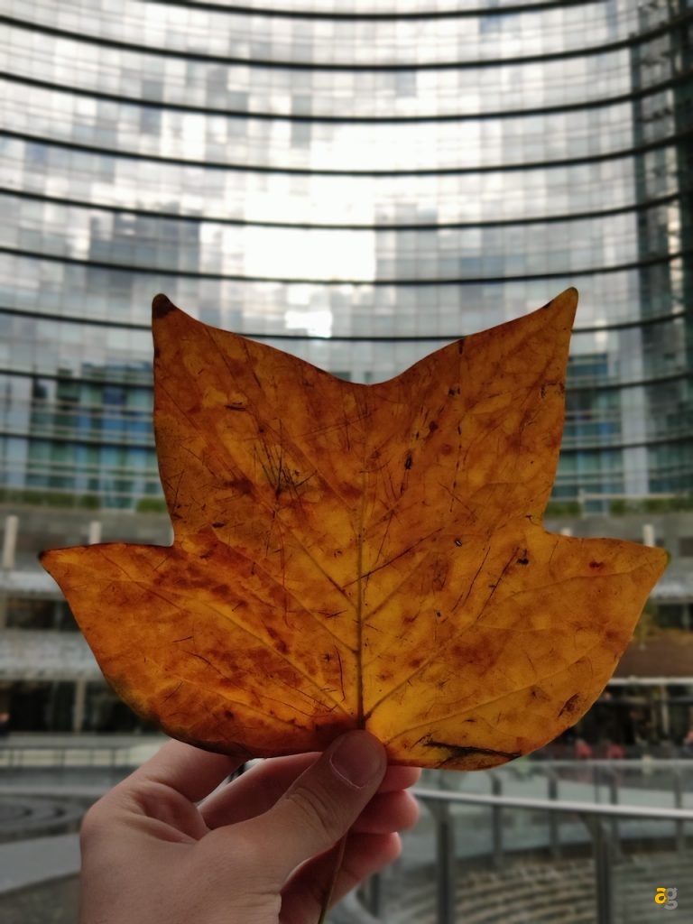 confrontone-fotografico-fine-2018