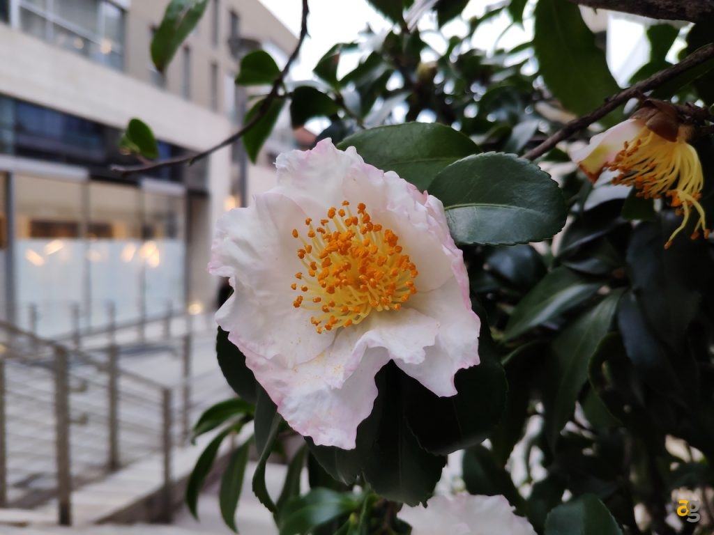 confrontone-fotografico-fine-2018