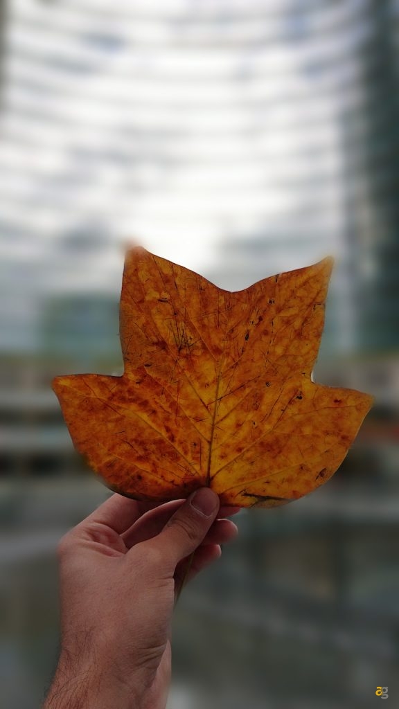 confrontone-fotografico-fine-2018