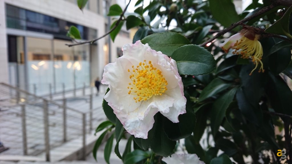 confrontone-fotografico-fine-2018