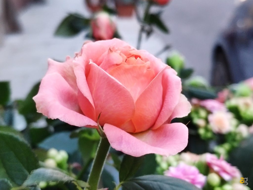 recensione-xiaomi-mi-mix-3-italia