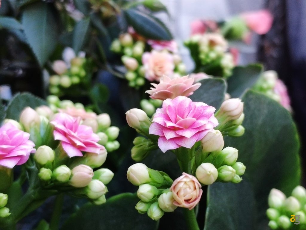 recensione-xiaomi-mi-mix-3-italia