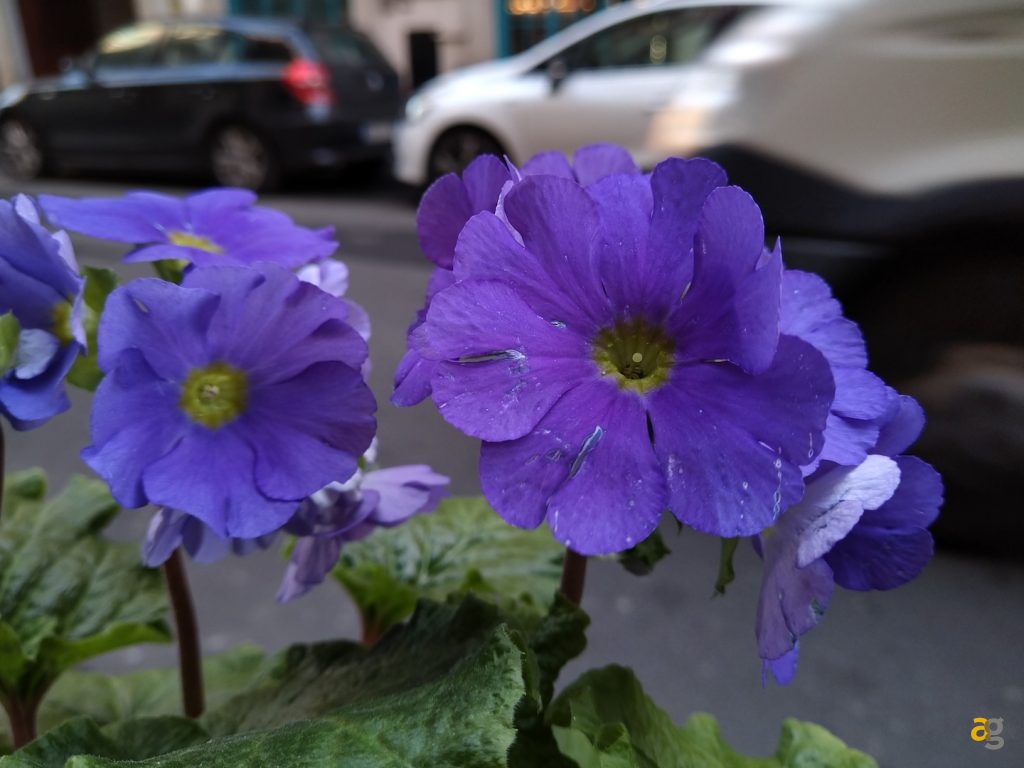 recensione-asus-zenfone-max-pro-m2