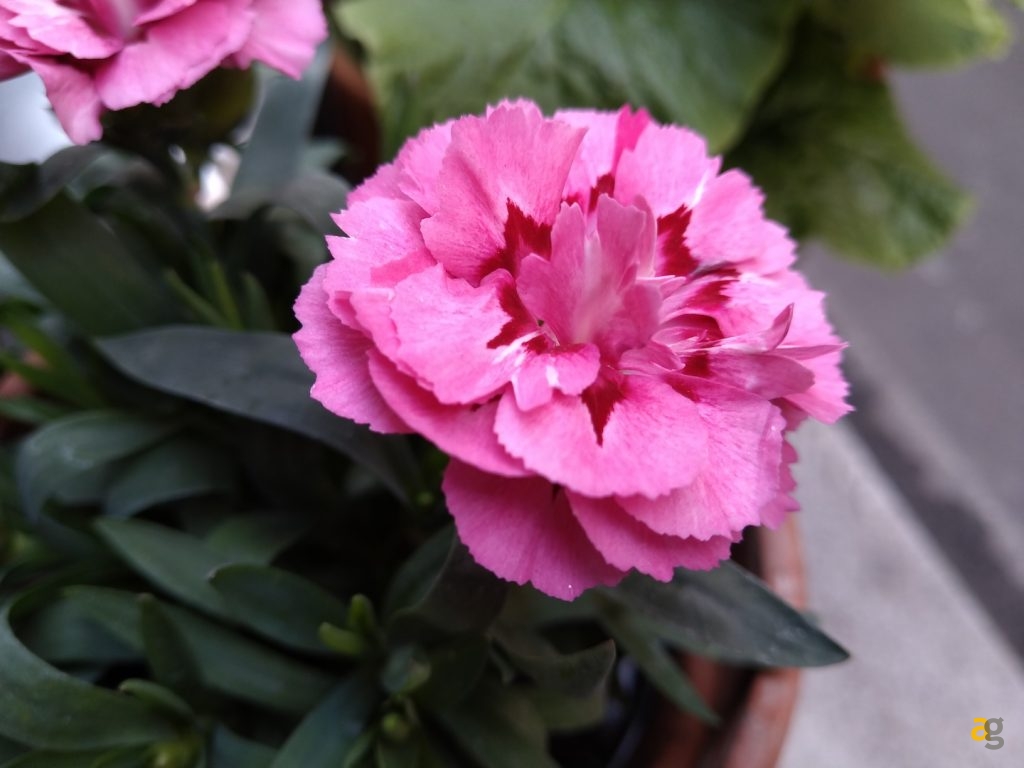 recensione-asus-zenfone-max-pro-m2