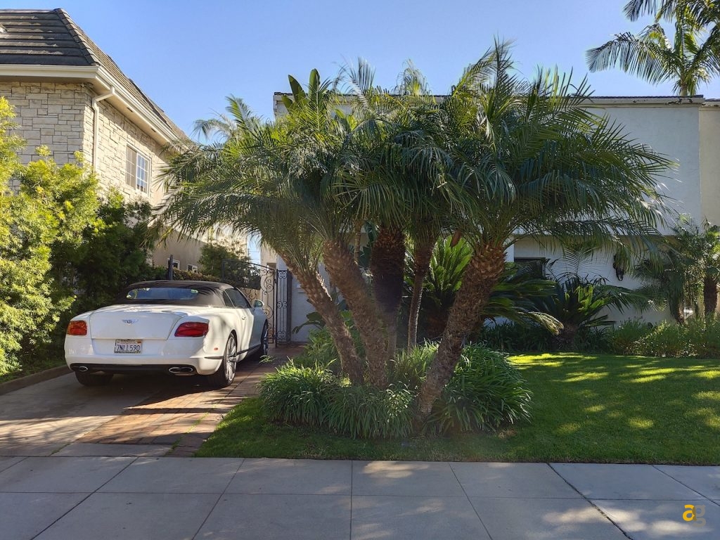 recensione-vivo-nex-dual-display