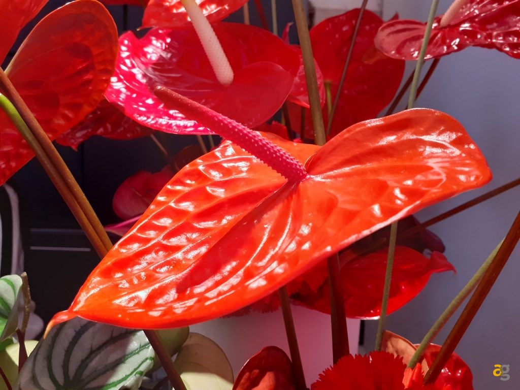 recensione-samsung-galaxy-m20