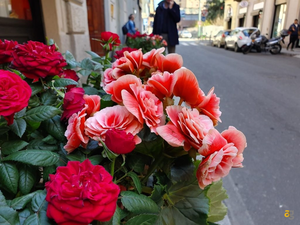 confronto-galaxy-s10e-e-iphone-xr