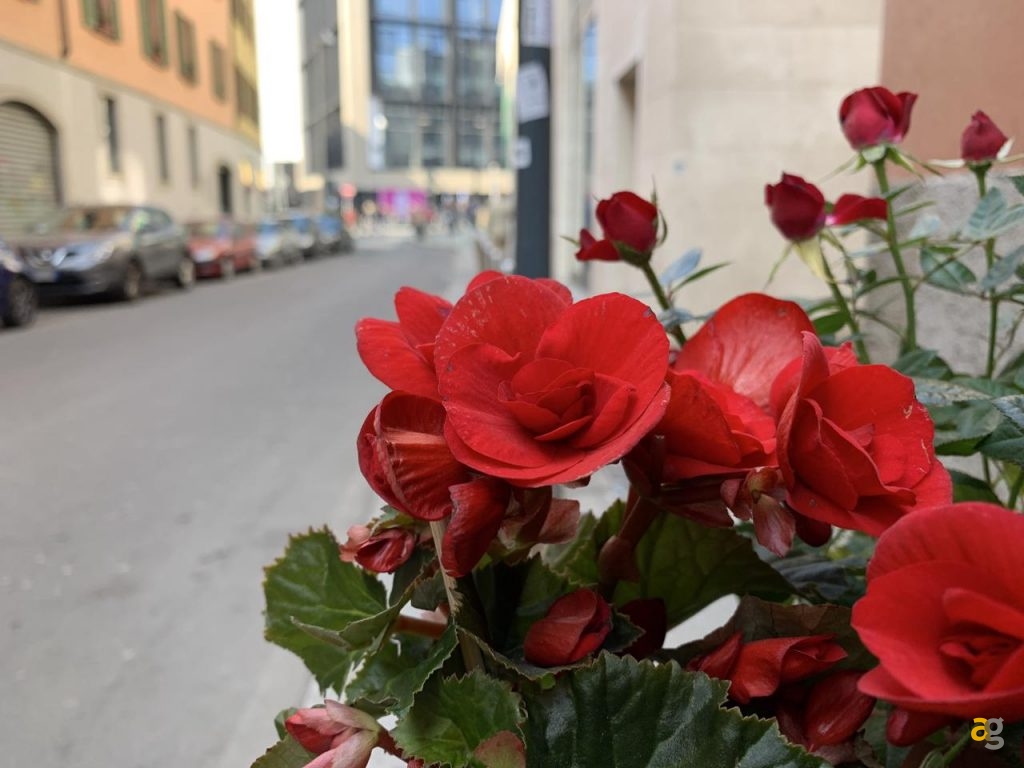 confronto-galaxy-s10-plus-vs-iphone-xs-max-vs-mate-20-pro