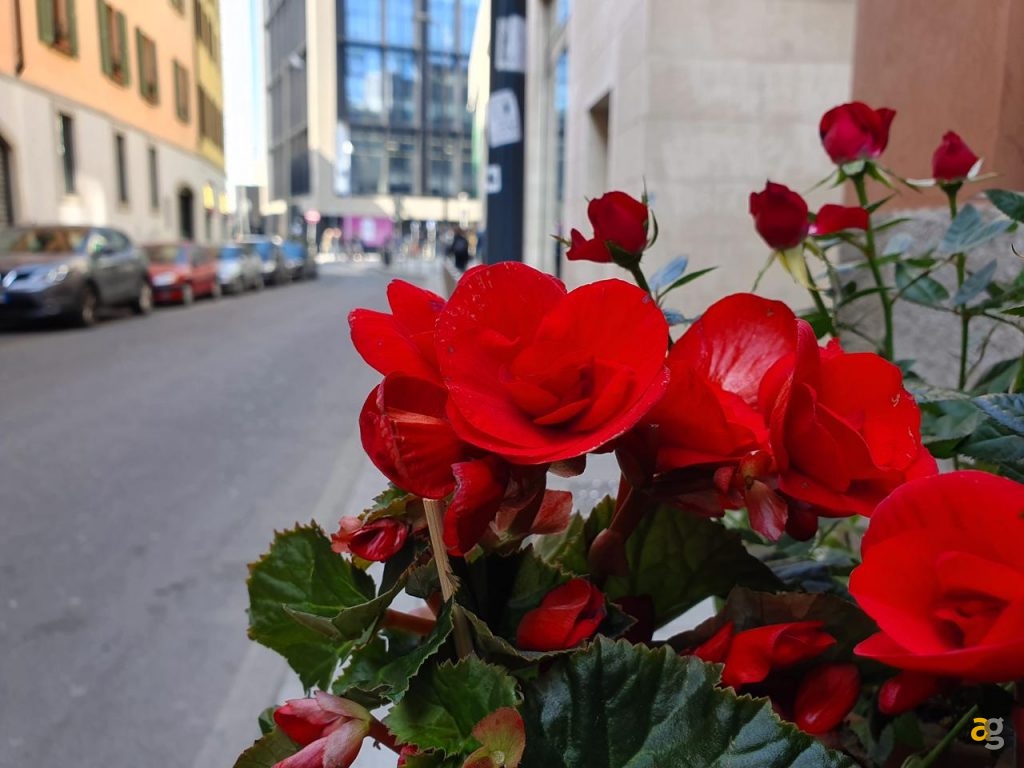 confronto-galaxy-s10-plus-vs-iphone-xs-max-vs-mate-20-pro