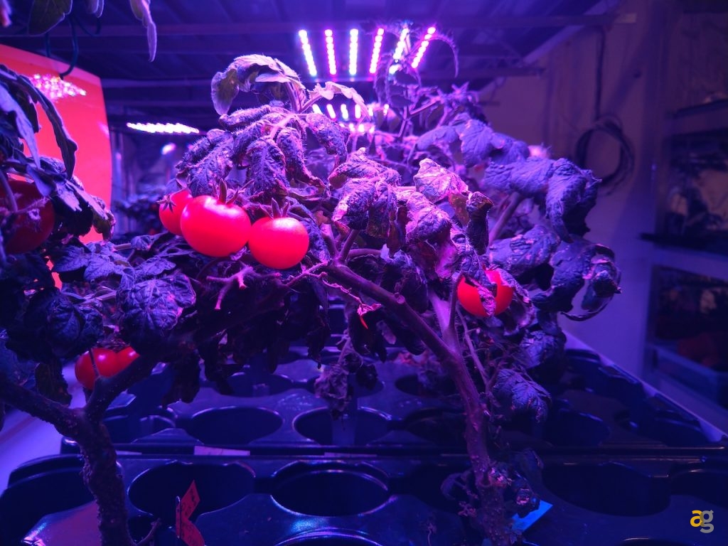 recensione-sony-xperia-10-plus