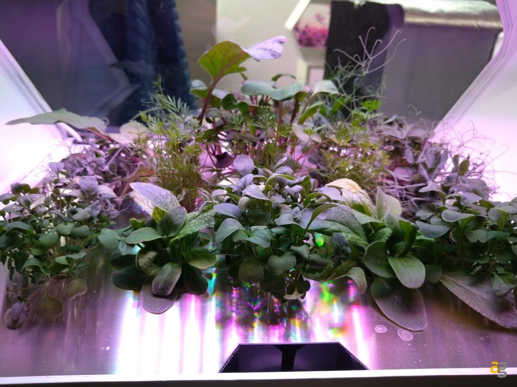 recensione-sony-xperia-10-plus