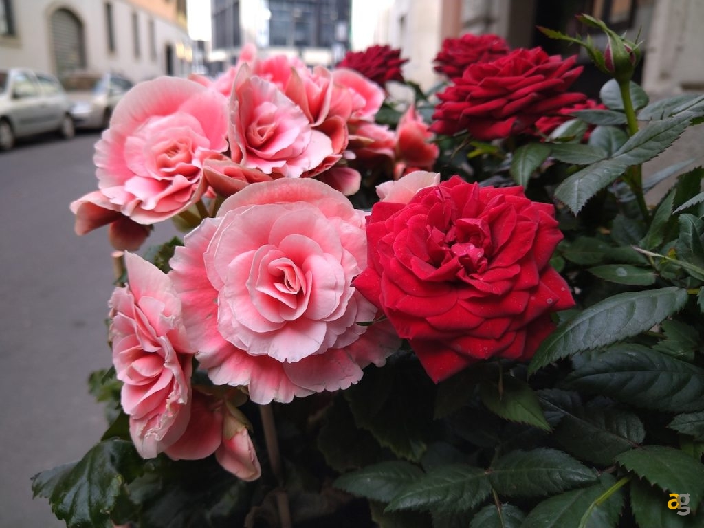 recensione-sony-xperia-10-plus