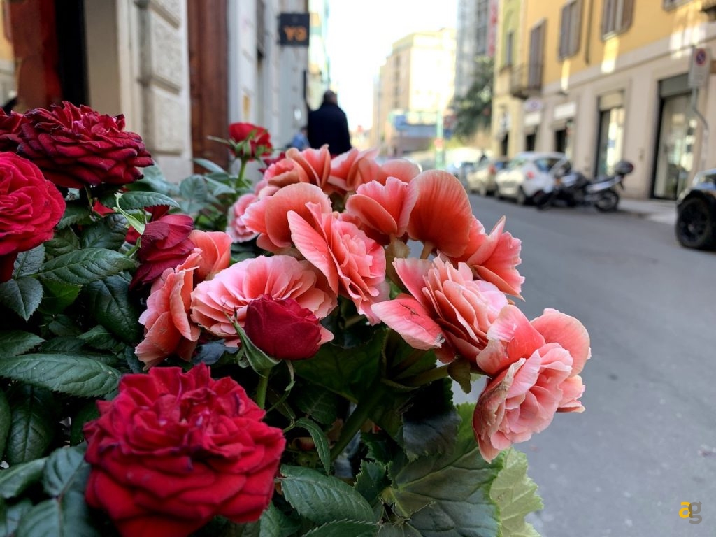 confronto-galaxy-s10e-e-iphone-xr