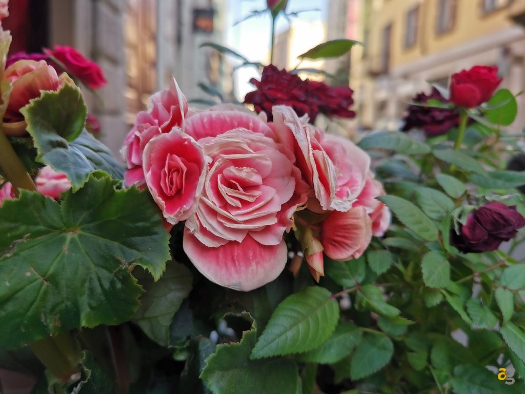 recensione-huawei-p30-pro