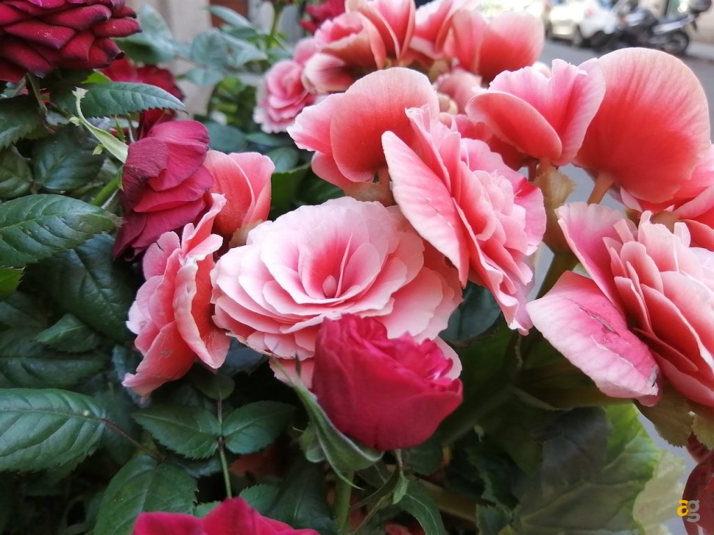 recensione-huawei-psmart-2019