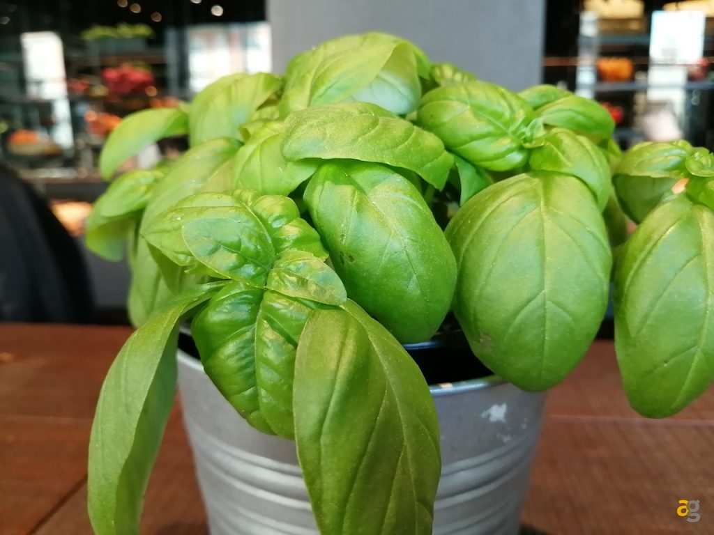 recensione-huawei-psmart-2019