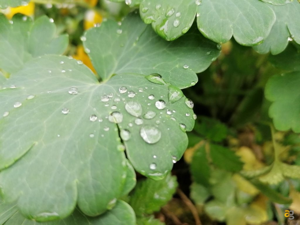 recensione-huawei-p30-lite