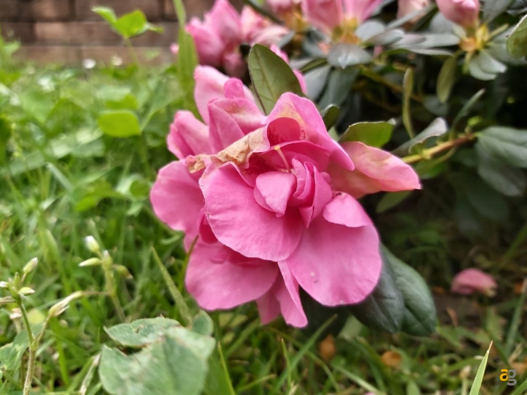 recensione-galaxy-a70-samsung