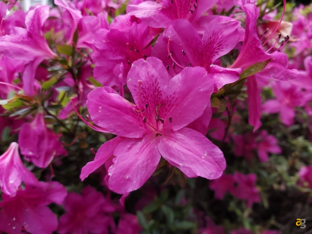 recensione-galaxy-a70-samsung