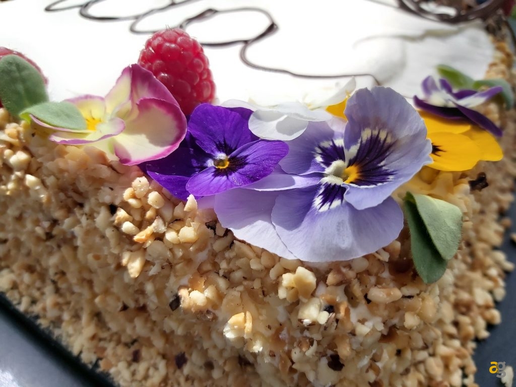 recensione-galaxy-a70-samsung