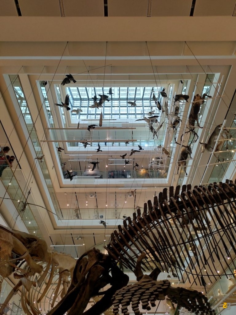 recensione-asus-zenfone-6