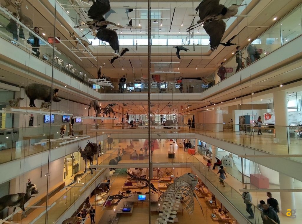 recensione-asus-zenfone-6