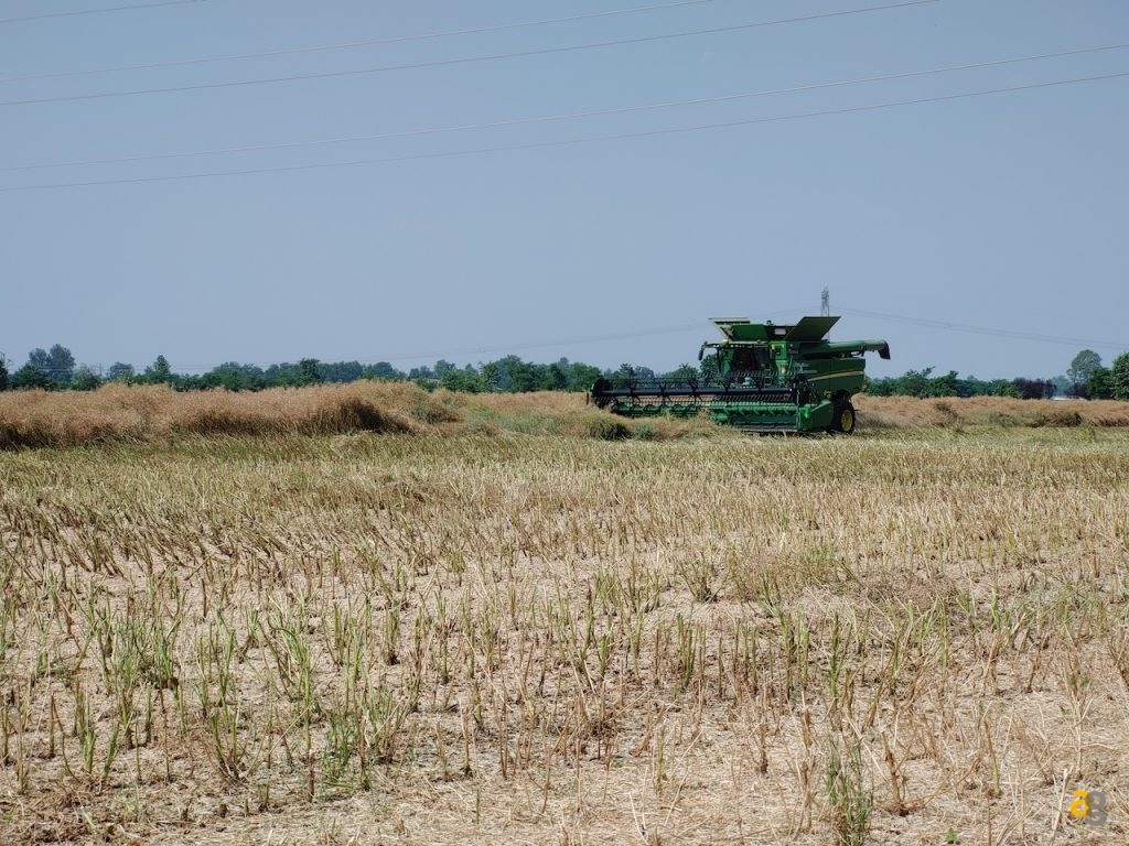 recensione-lg-g8s-thinq