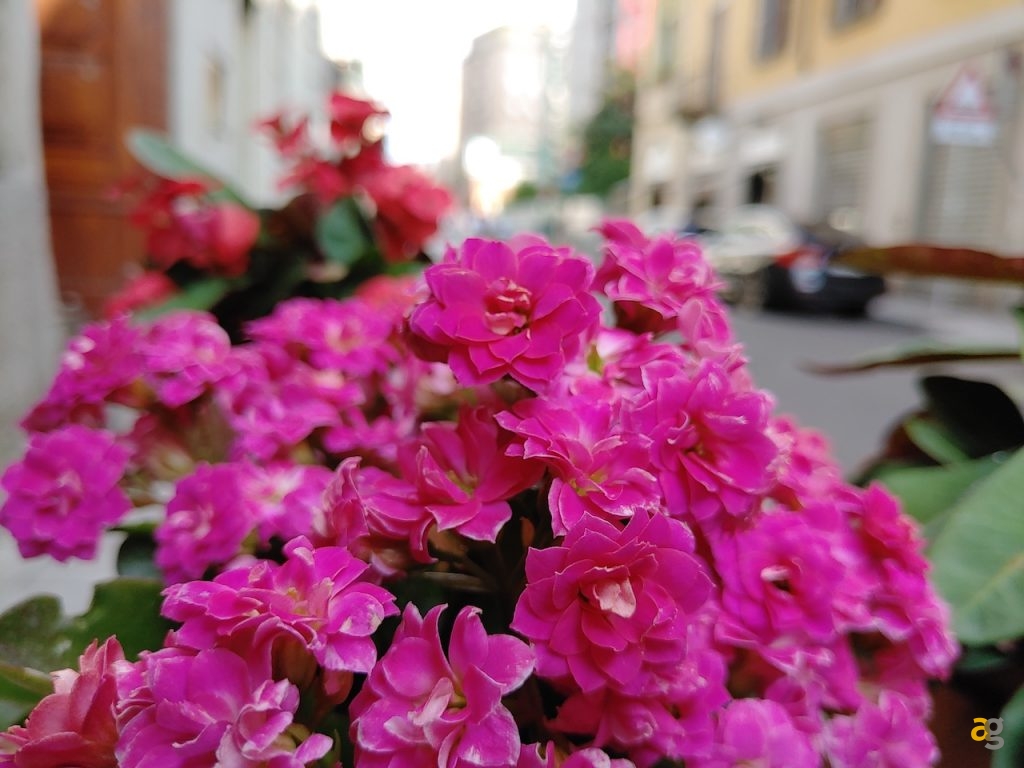 recensione-lg-g8s-thinq