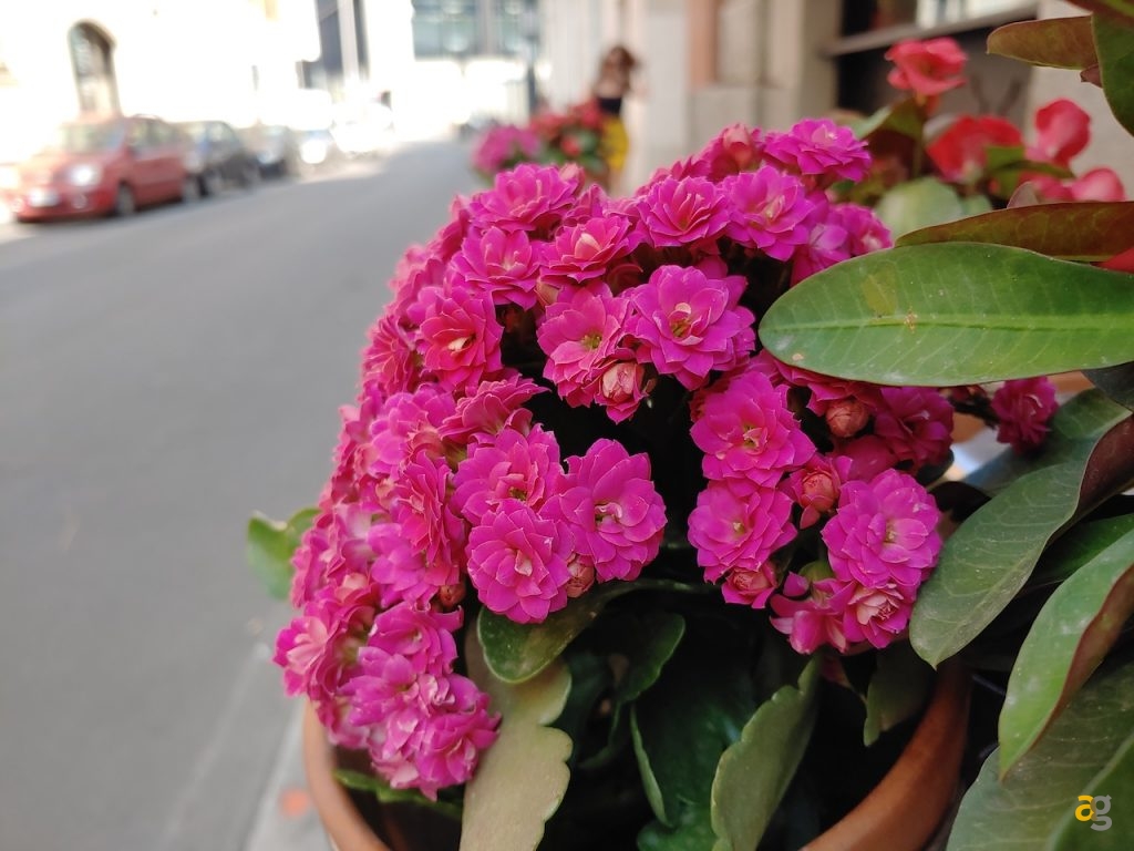 lg-v50-thinq-5g-recensione