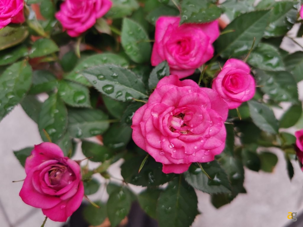 confronto-top-s10-p30pro-oneplus-7-pro-zenfone-6-oppo-reno-10x-xperia-1-mi9-g8s-20-pro