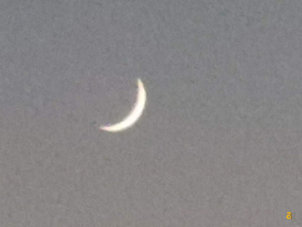 recensione-honor-20-pro