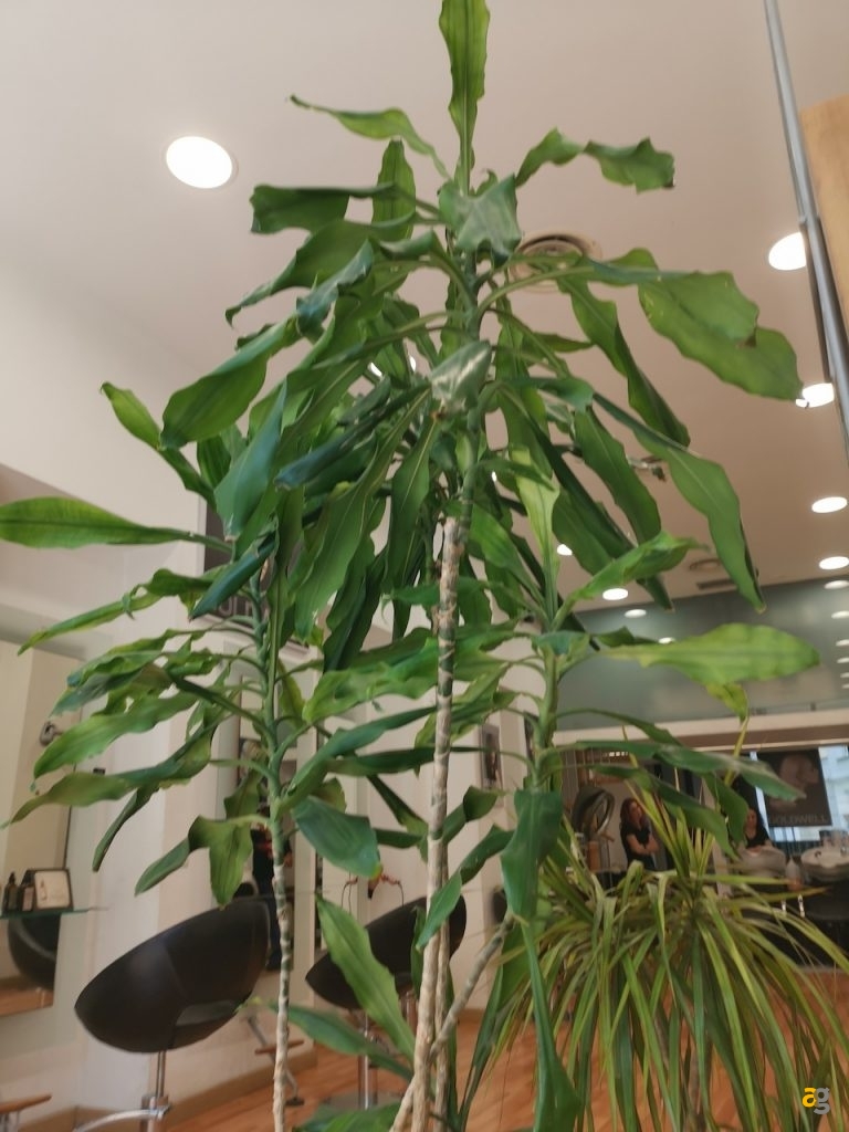 recensione-huawei-mate-20x-5g