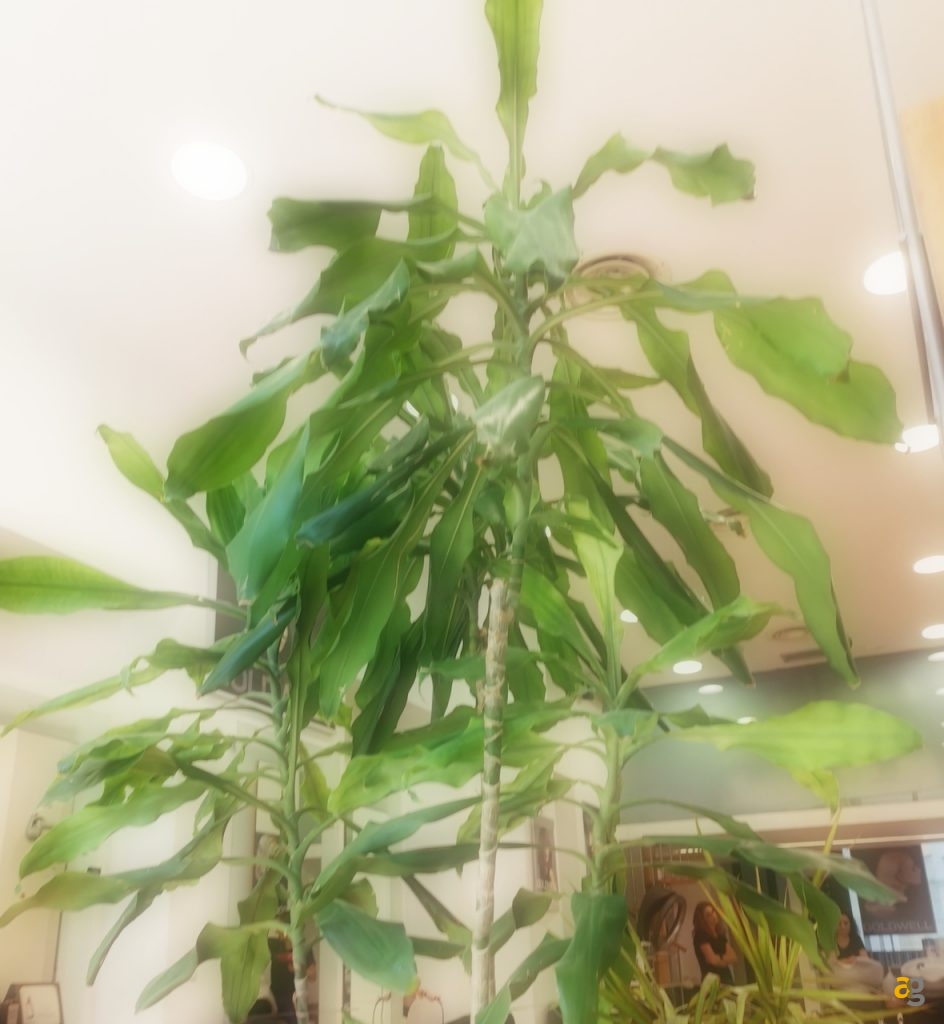 recensione-huawei-mate-20x-5g