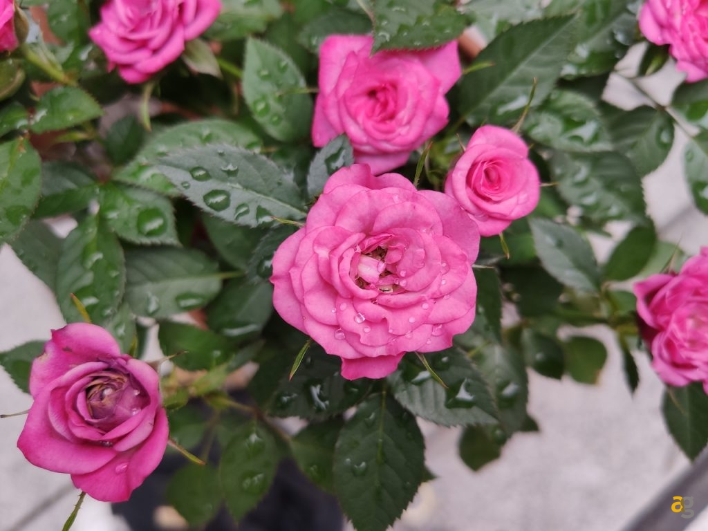 confronto-top-s10-p30pro-oneplus-7-pro-zenfone-6-oppo-reno-10x-xperia-1-mi9-g8s-20-pro