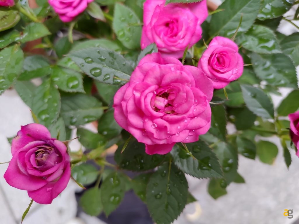 confronto-top-s10-p30pro-oneplus-7-pro-zenfone-6-oppo-reno-10x-xperia-1-mi9-g8s-20-pro