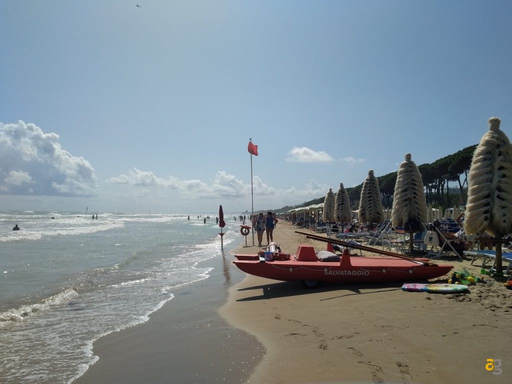 recensione-palm-2019