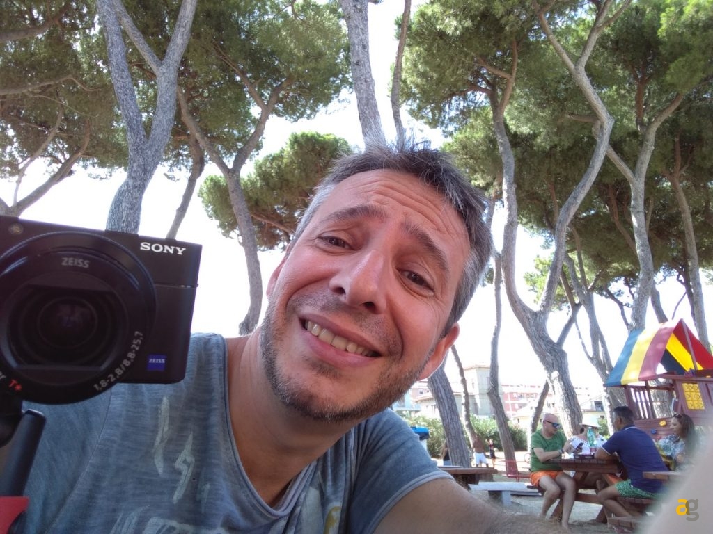 recensione-palm-2019