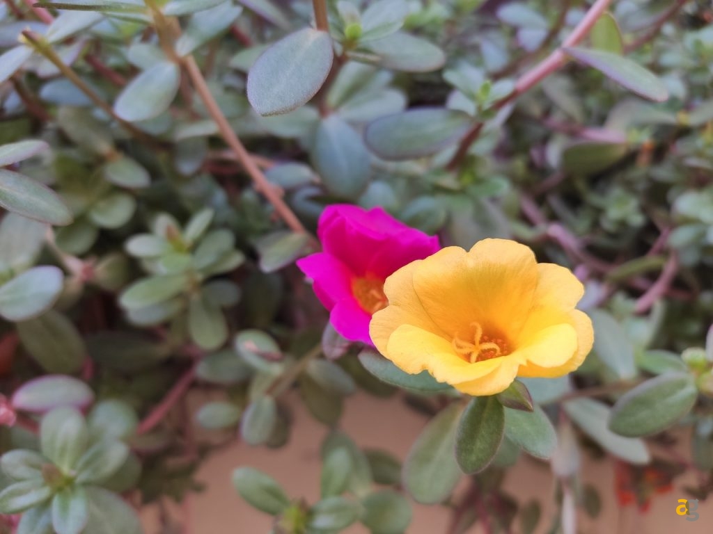 recensione-xiaomi-mi9-lite