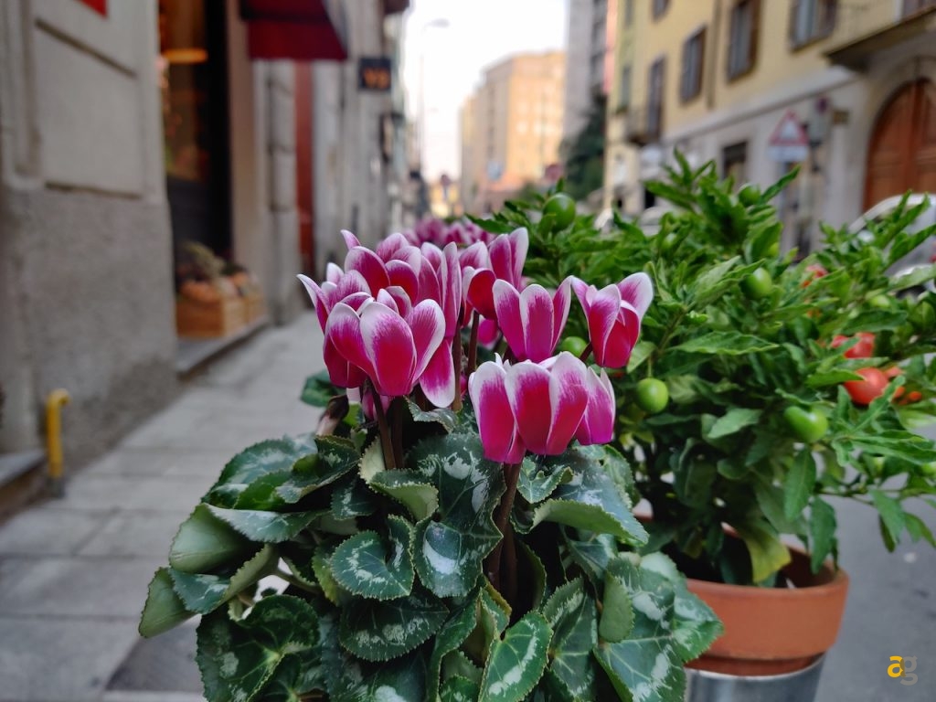 confronto-oneplus-7pro-7t-7tpro-mclaren